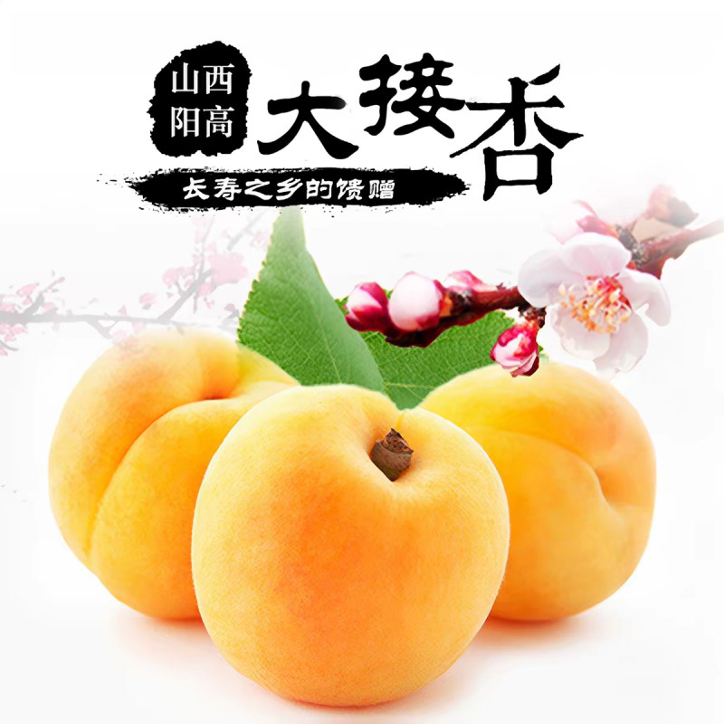 【京东包邮】山西大同阳高大接杏5斤大黄杏子新鲜水果大京杏现摘现发阳高大杏-QQ活动_资源分享-源码基地-项目分享-安卓绿色软件基地我的技术站