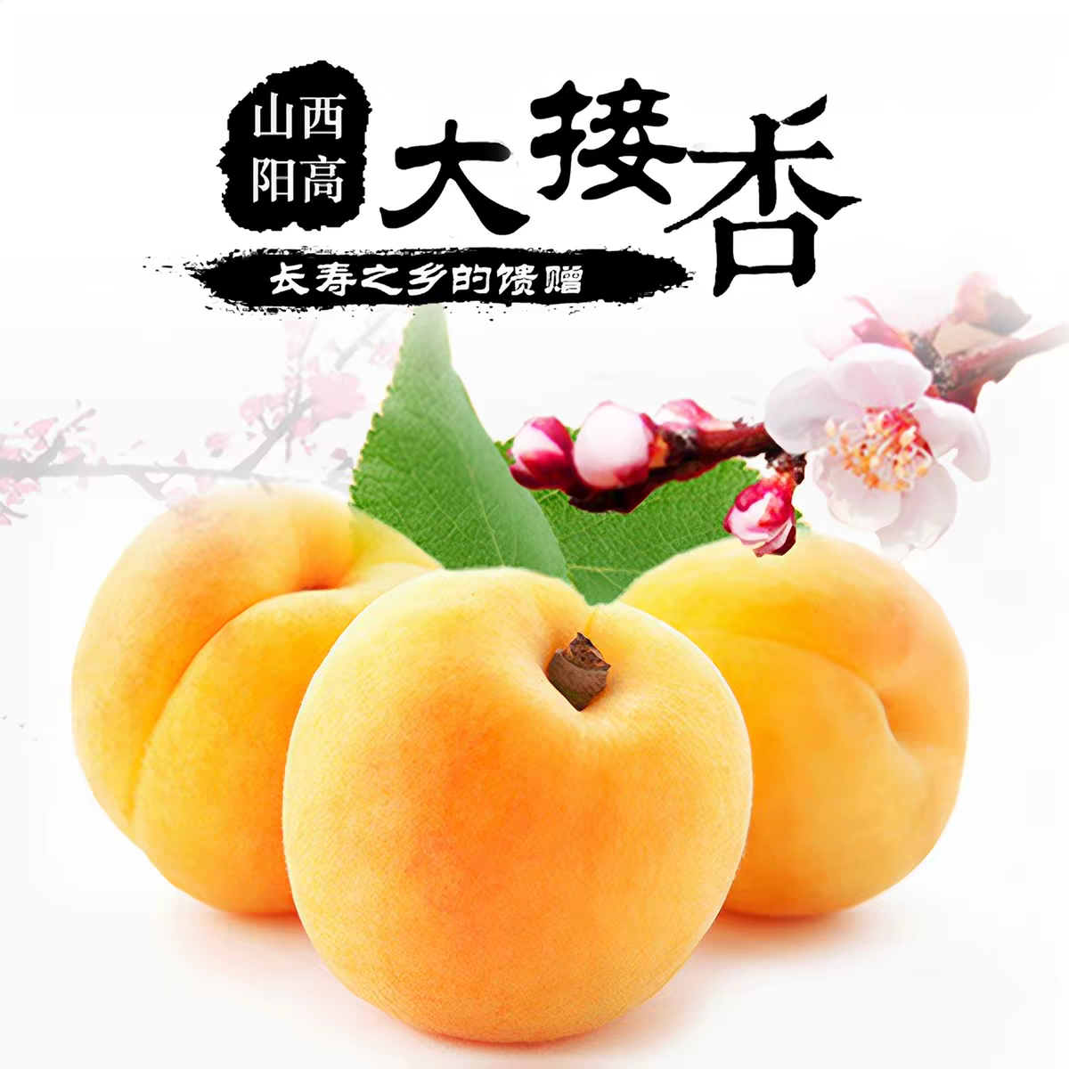 科迅博客