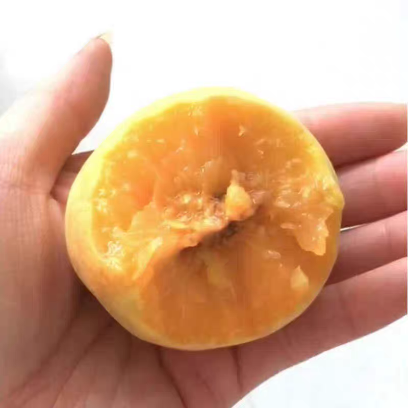科迅博客